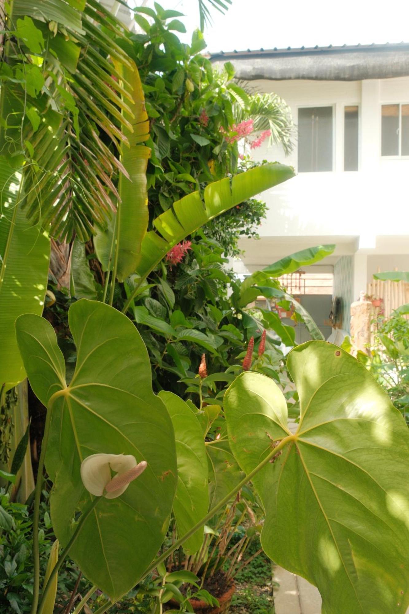 Kite House Cabarete Across Kite Beach Exteriör bild